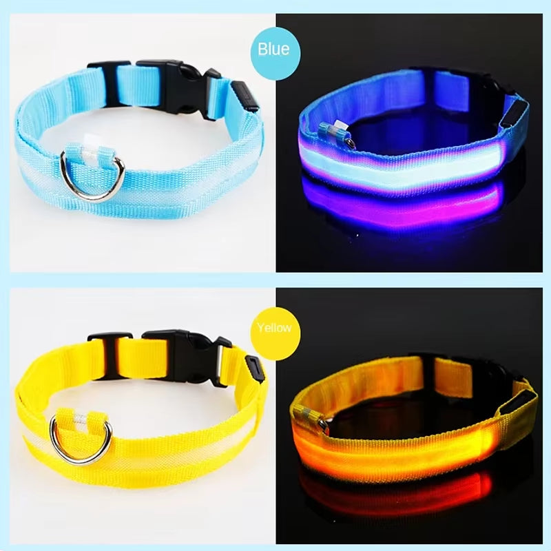 Dog Luminouscollar Anti-Lost Glowing LED Light Pet Collar Collar for Small Medium Large Dogs Collars Leads Safety Necklace