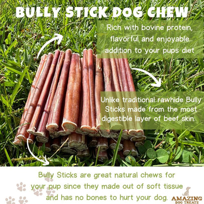 Bully Sticks 6 & 7 Inch Regular Size - Premium Bully Stick Dog Chews - Long Lasting Bully Sticks for Dogs - Best Bully Stick Dog Bone - No Hide Dog Chews