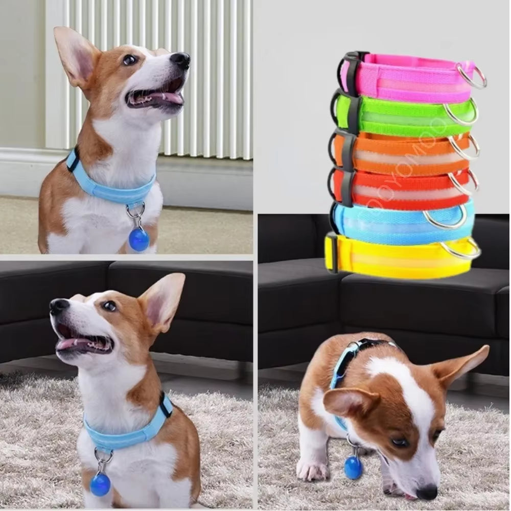 Dog Luminouscollar Anti-Lost Glowing LED Light Pet Collar Collar for Small Medium Large Dogs Collars Leads Safety Necklace